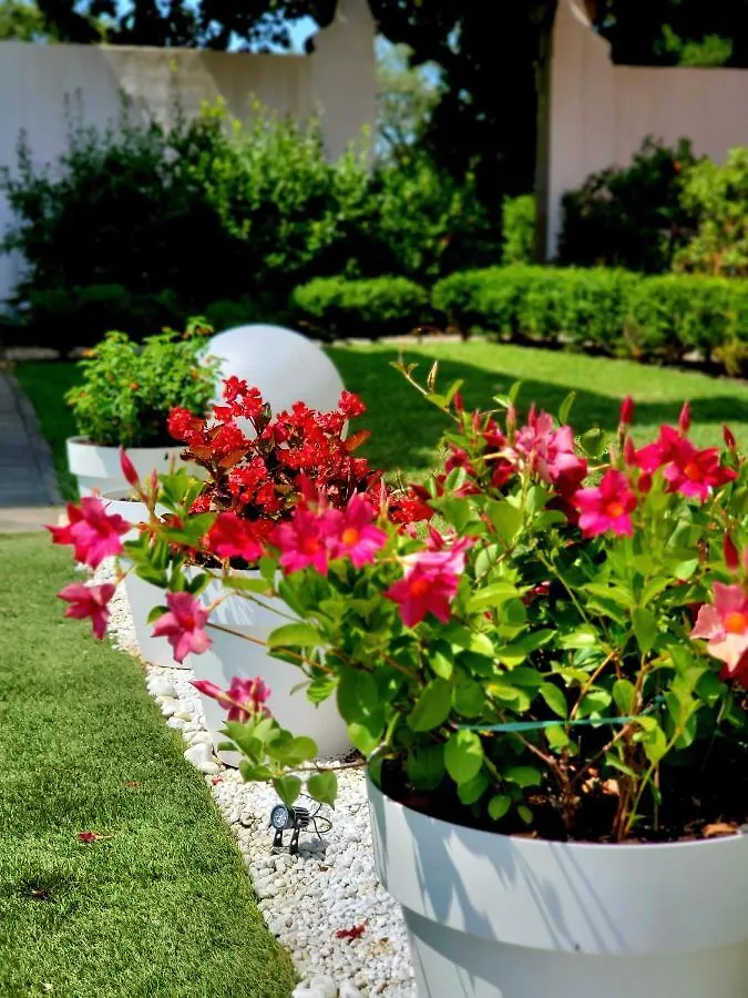 Apartment La Villa Apartments: Convenient Sardinia & Corsica Base Livorno
